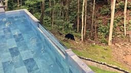 Mansion 24ppl |F1 & Golf Simulator| Wellness| Pool - Image 5